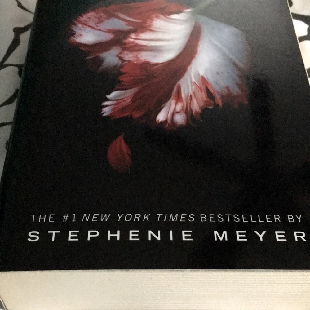 New Moon Twilight Saga Book 2 Stephenie Meyer Paperback 2008 Vampire Fiction